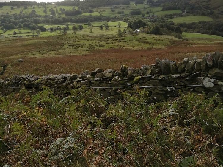 Shemore On Loch Lomond