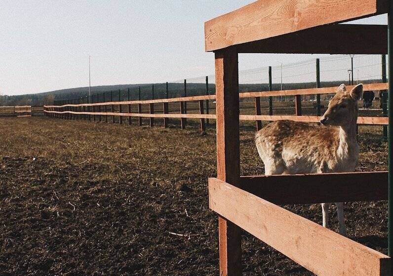 هتل Riviera Wellness Resort