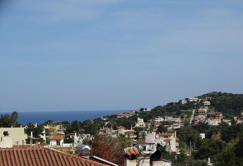 Pensjonat Artemis Greenhill