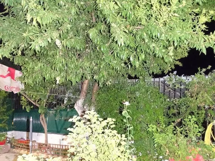 ペンション Artemis Greenhill