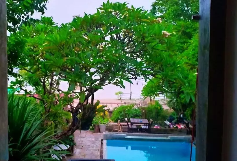 ペンション Sofa Gallery