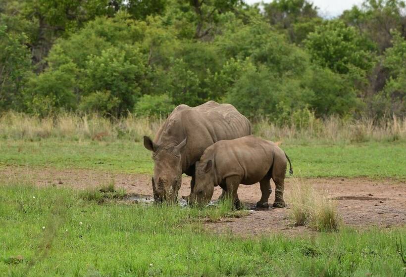 בית מלון כפרי Ikhaya Lamadube Game Lodge