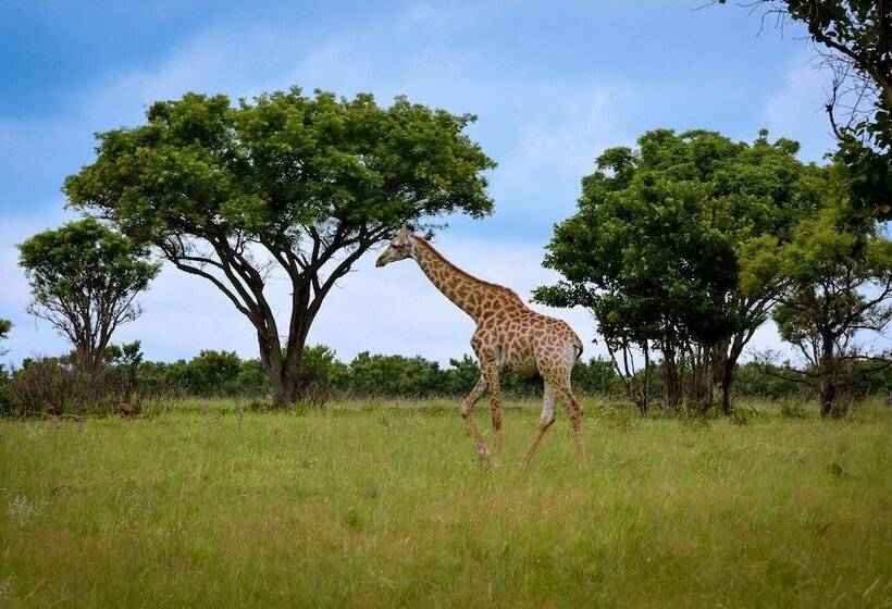 בית מלון כפרי Ikhaya Lamadube Game Lodge