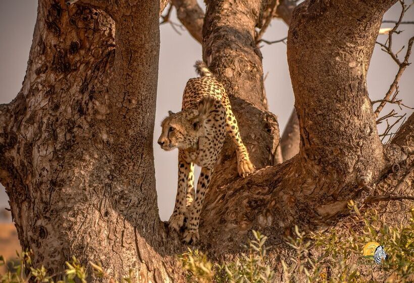 בית מלון כפרי Ikhaya Lamadube Game Lodge