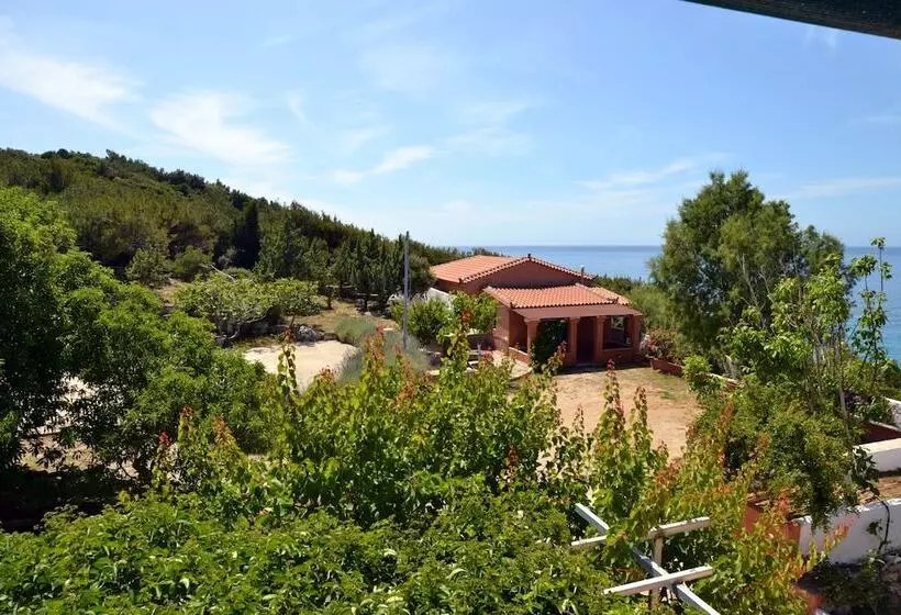 Ocea Retreat