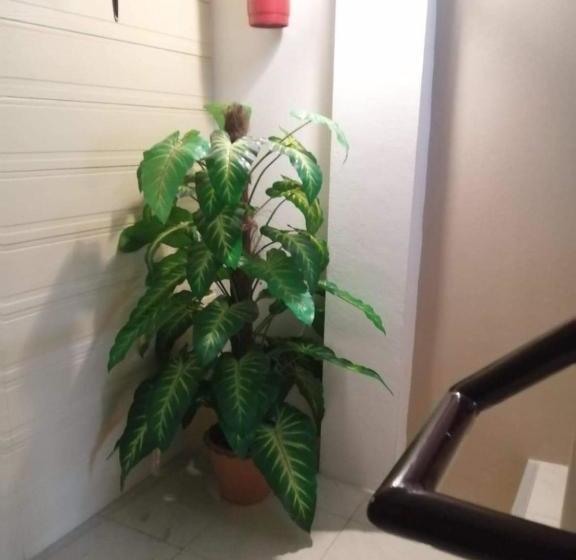 Пансион At Savika