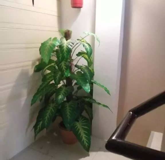 پانسیون At Savika