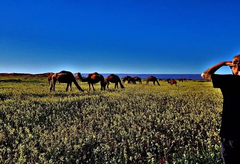 Majatalo Kasbah Les Alizes Du Desert
