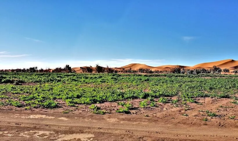Majatalo Kasbah Les Alizes Du Desert