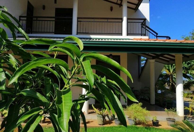 פנסיון Lavender Home Yala Safari