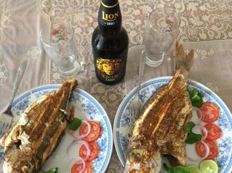 פנסיון Lavender Home Yala Safari