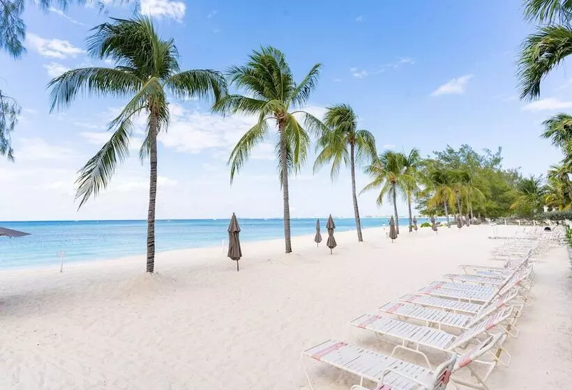 The Colonial Club, Oceanfront Condos