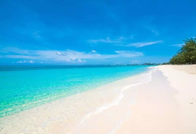 The Colonial Club, Oceanfront Condos