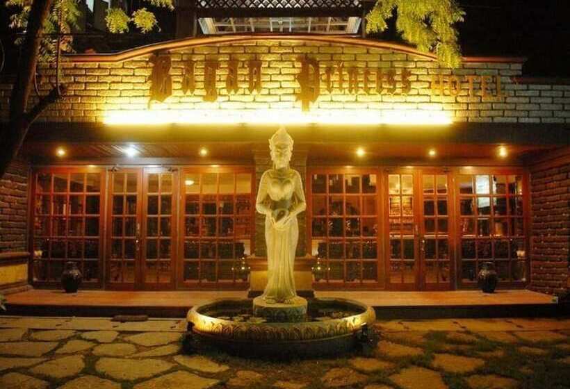 هتل Bagan Princess