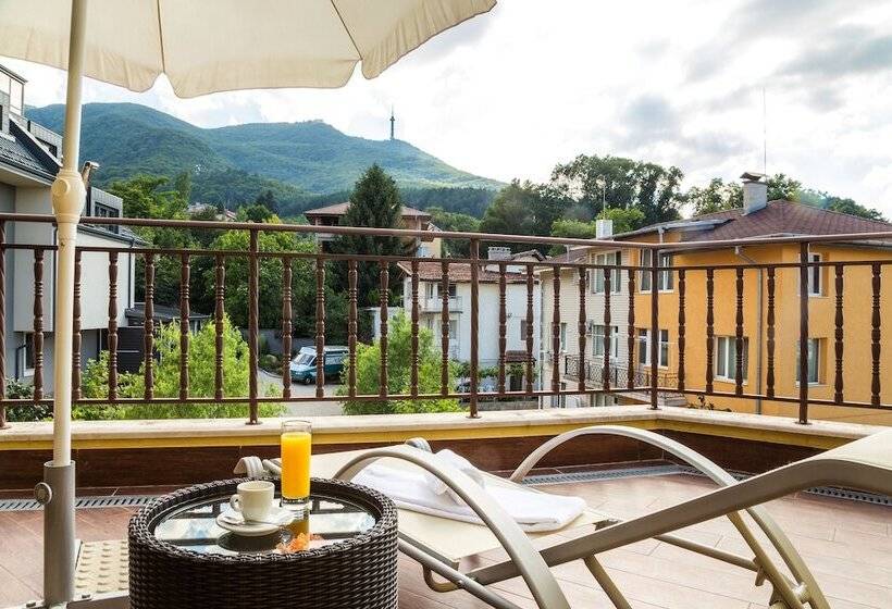 ホテル Villa Boyana  Free Parking