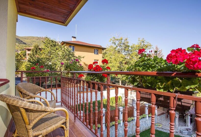 ホテル Villa Boyana  Free Parking