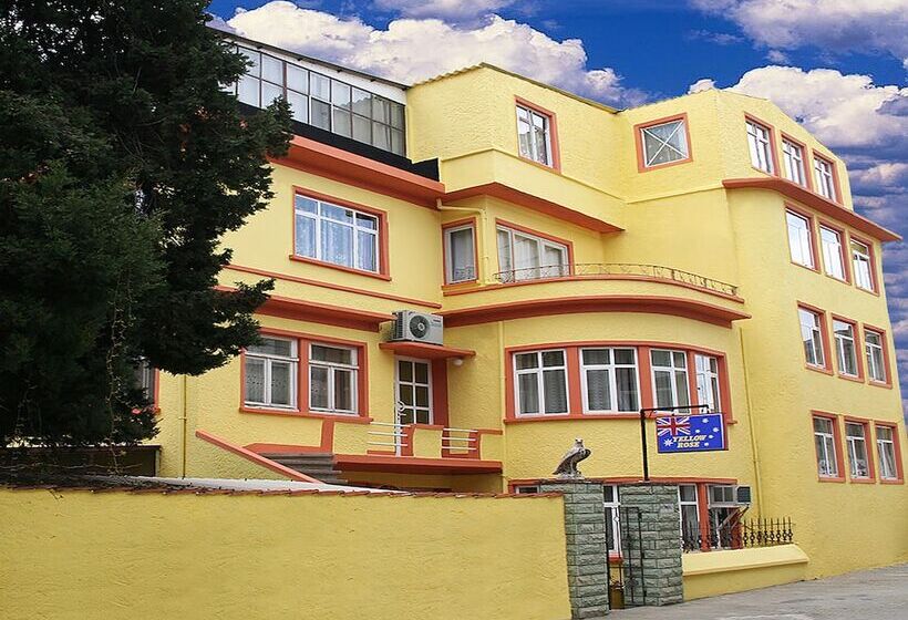 Hotel Yellow Rose Pansiyon