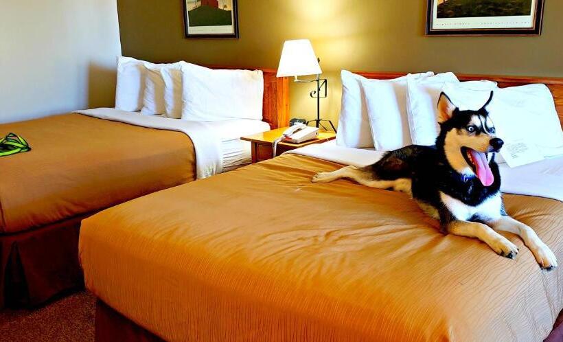 فندق على الطريق Lodging On The Square