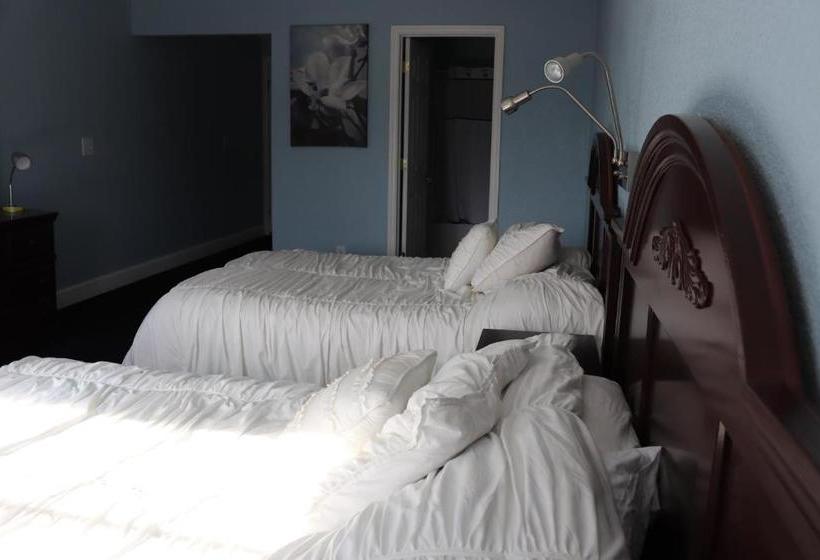 汽车旅馆  Royal Inn