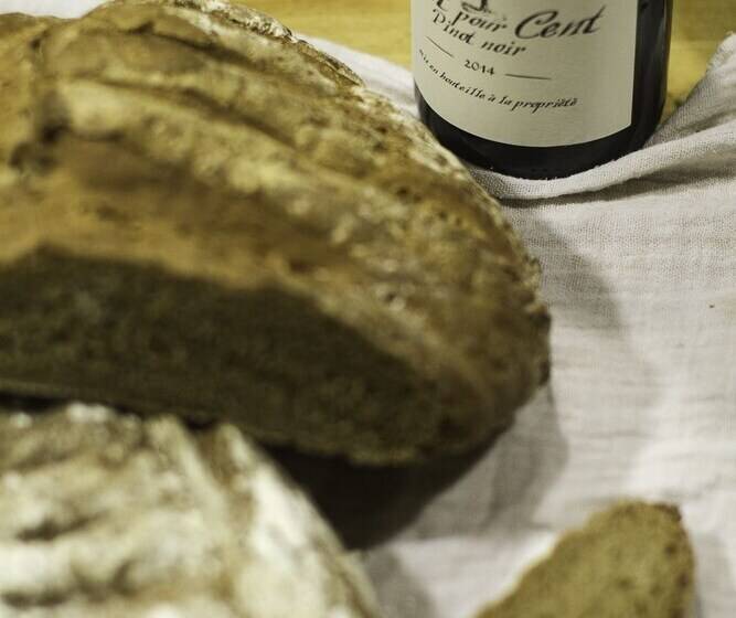 펜션 La Métairie Du Clos Saint Louis