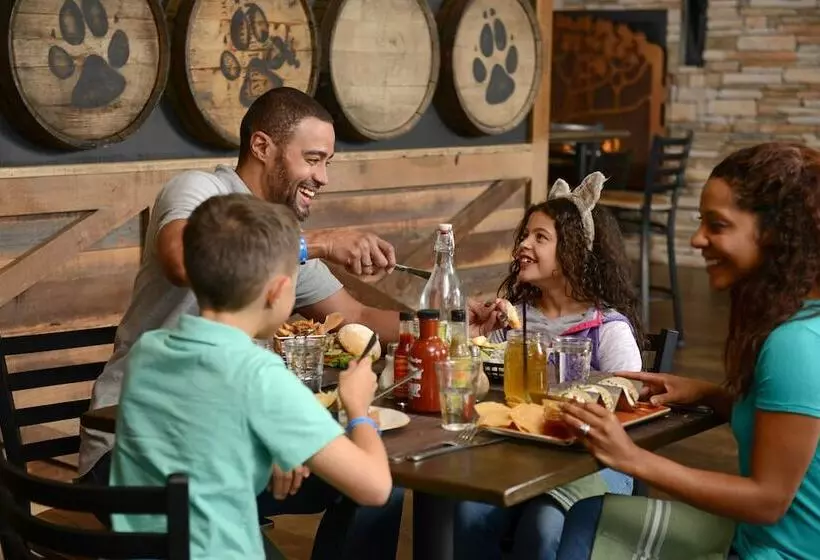 Lomakeskus Great Wolf Lodge Georgia