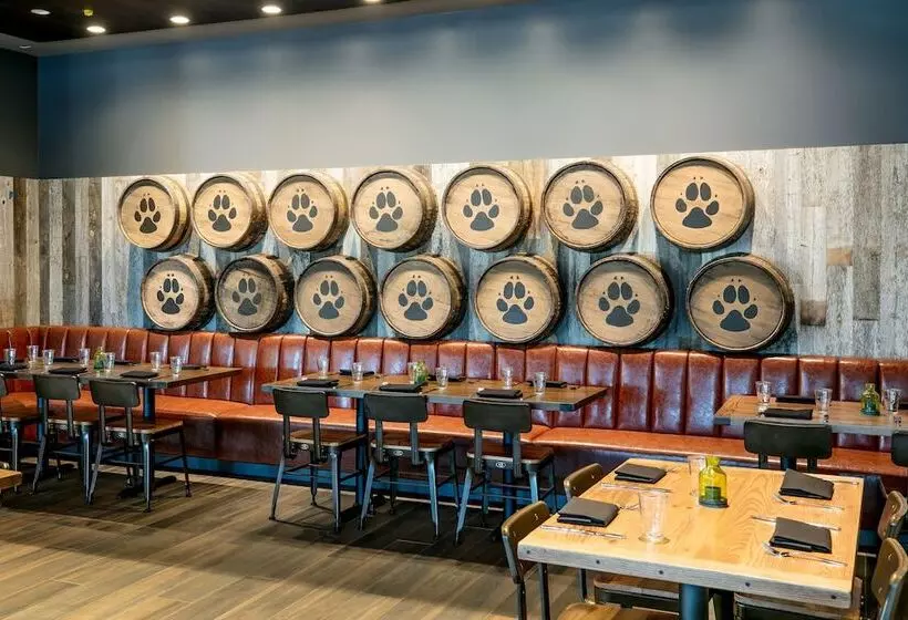 Lomakeskus Great Wolf Lodge Georgia