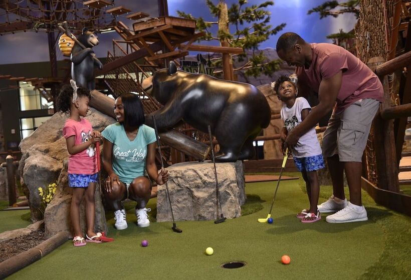 אתר נופש Great Wolf Lodge Georgia