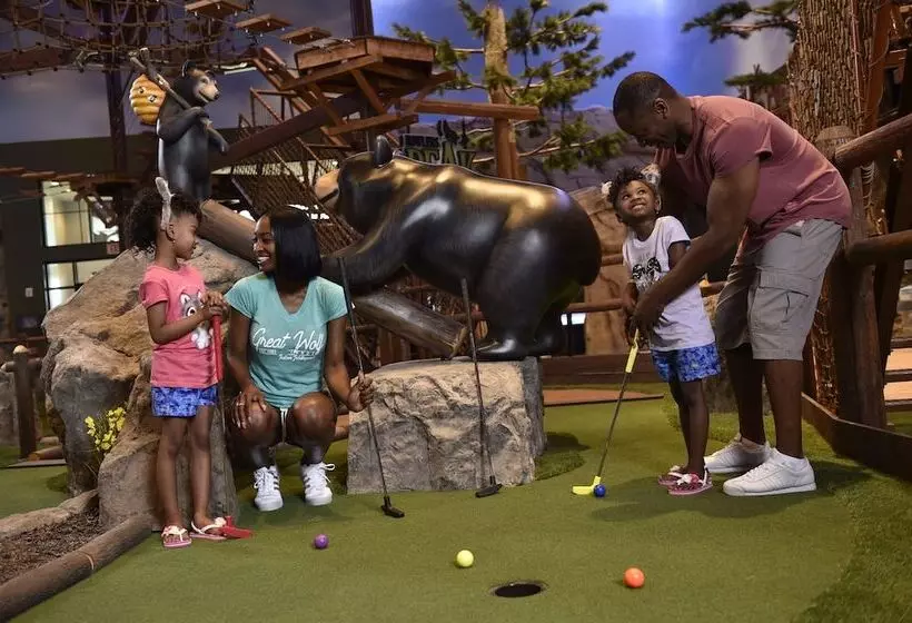 Lomakeskus Great Wolf Lodge Georgia