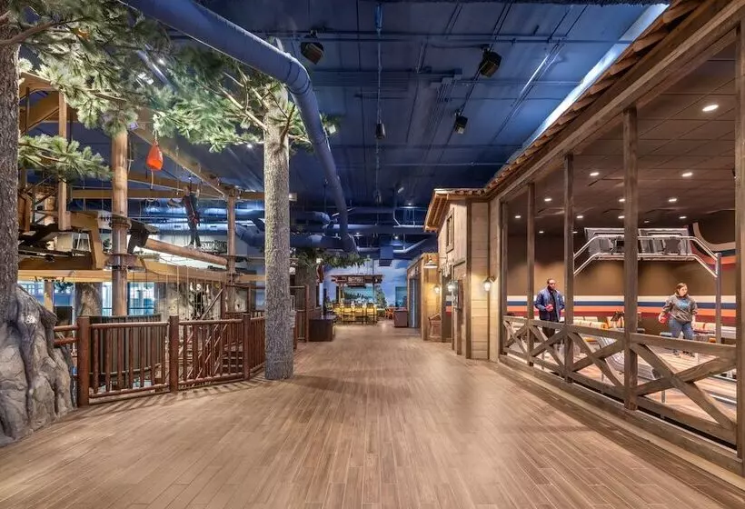 Lomakeskus Great Wolf Lodge Georgia