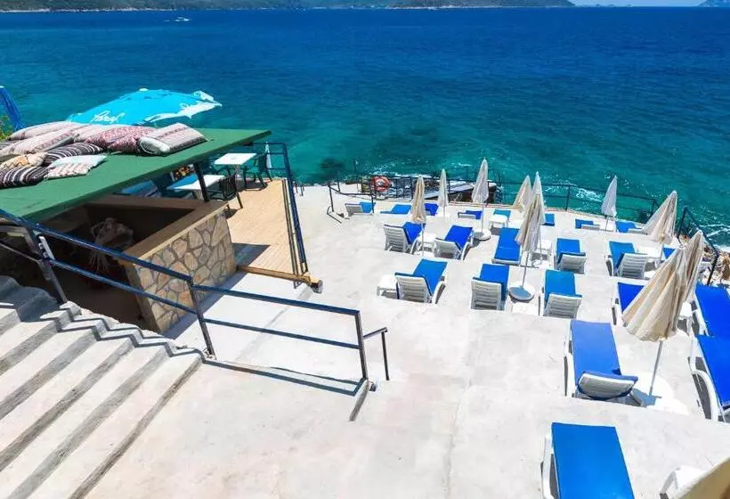 Sardunya Otel Arka Bä°na