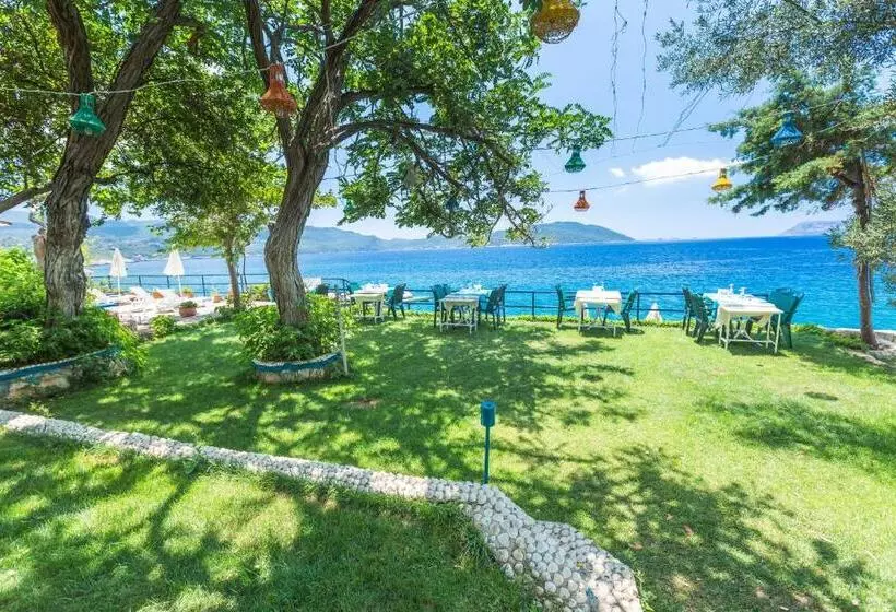 Sardunya Otel Arka Bä°na