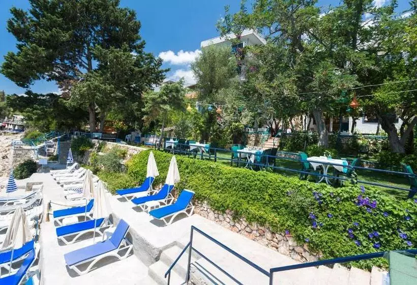 Sardunya Otel Arka Bä°na