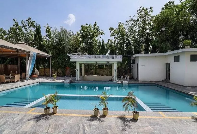 Hotel D'amore Resorts