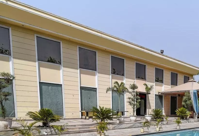 Hotel D'amore Resorts