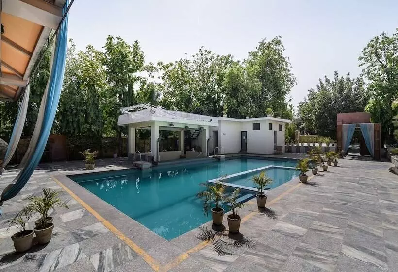 Hotel D'amore Resorts