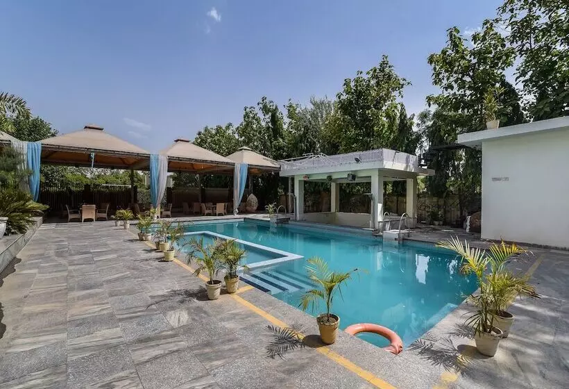 Hotel D'amore Resorts