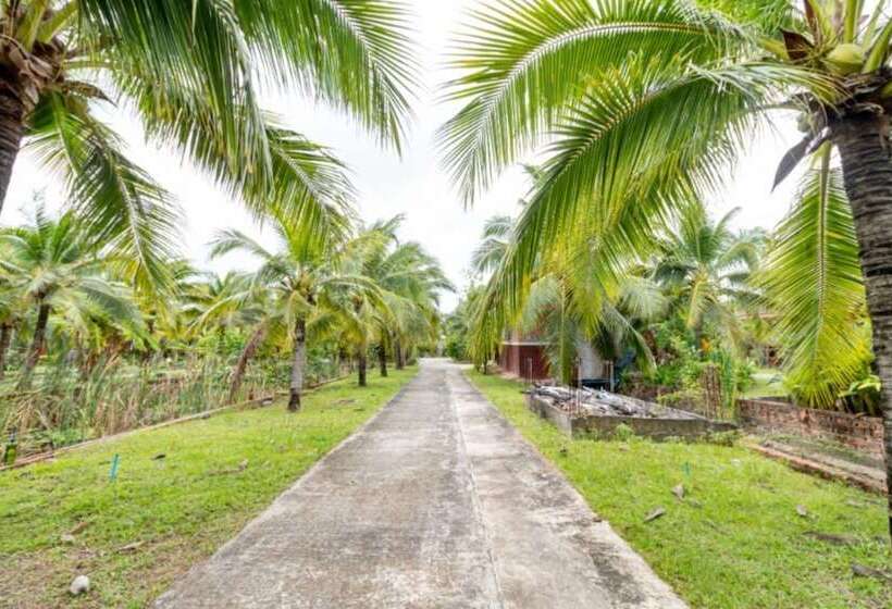 בית מלון כפרי M Resort