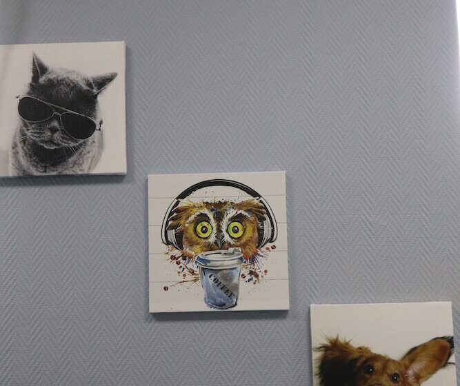 هتل Travel Inn Vystavochnaya