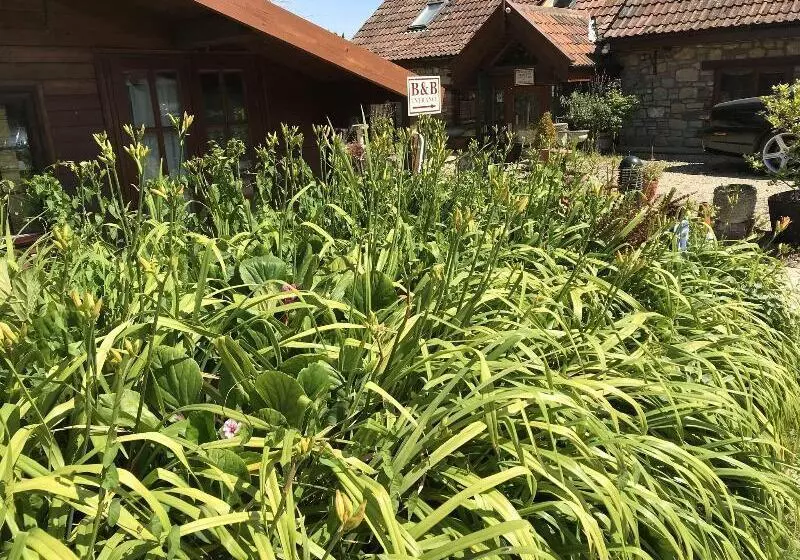 پانسیون Bridge Farm Guesthouse Rooms