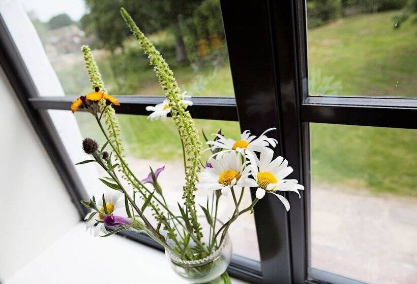 The Control Tower Vegetarian B&b