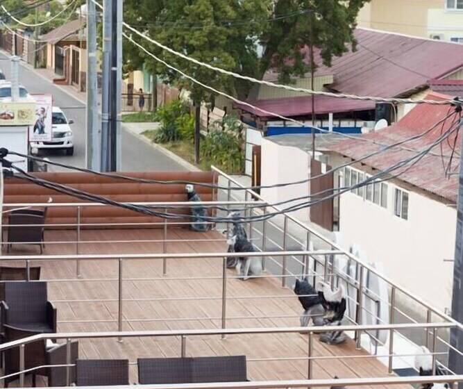 בית מלון כפרי Olga