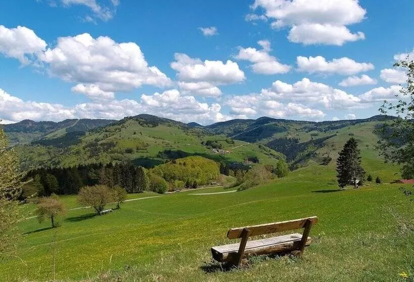 Schwarzwald Apartments Im Haus Tanneck   Feldberg   Titisee