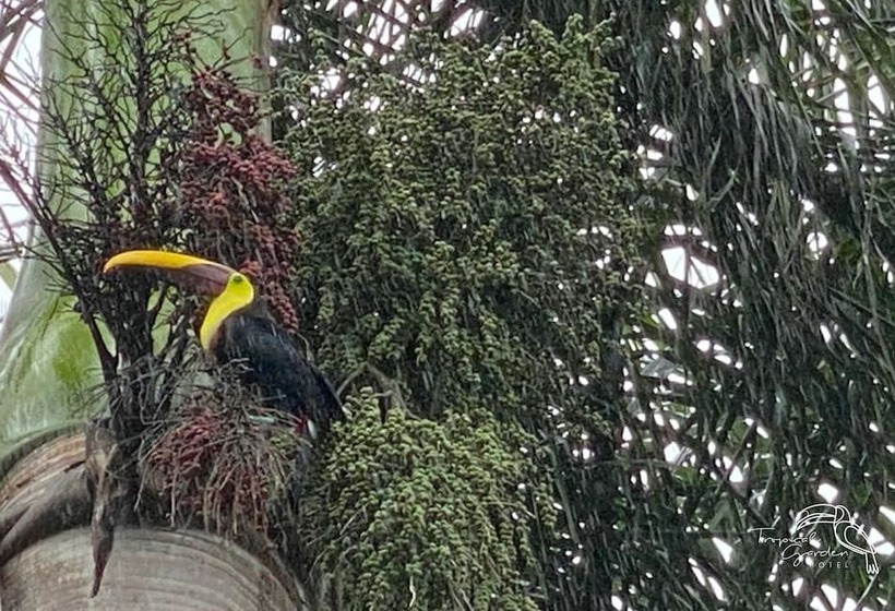 هتل Tropical Garden