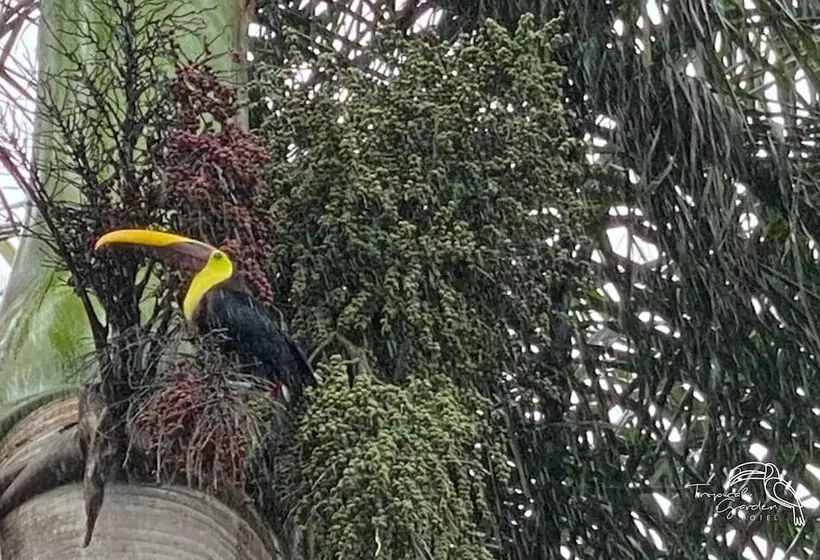 Hotelli Tropical Garden