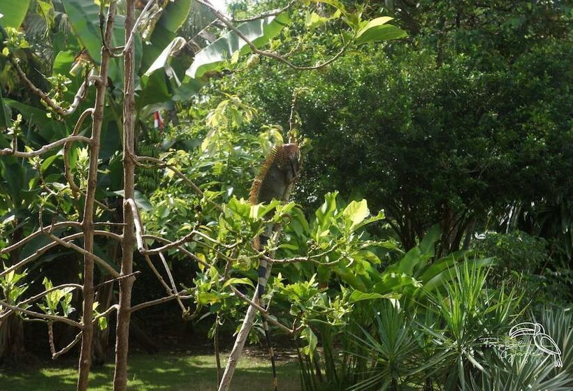 هتل Tropical Garden