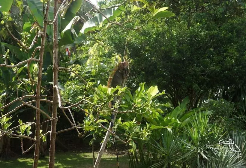 Hotelli Tropical Garden