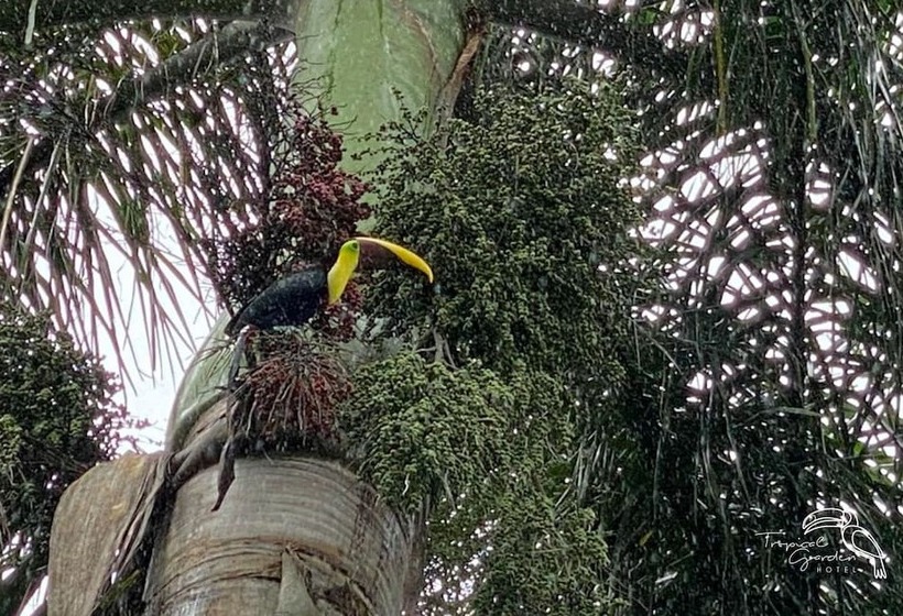 هتل Tropical Garden