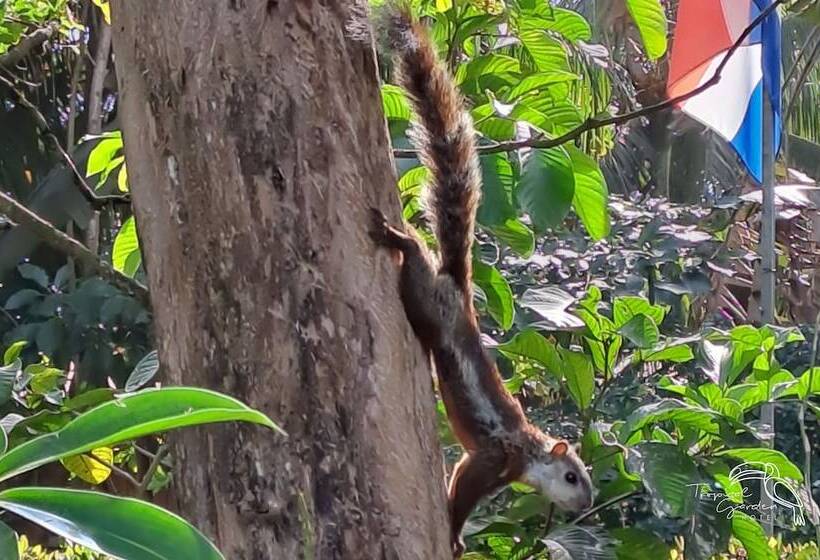 هتل Tropical Garden
