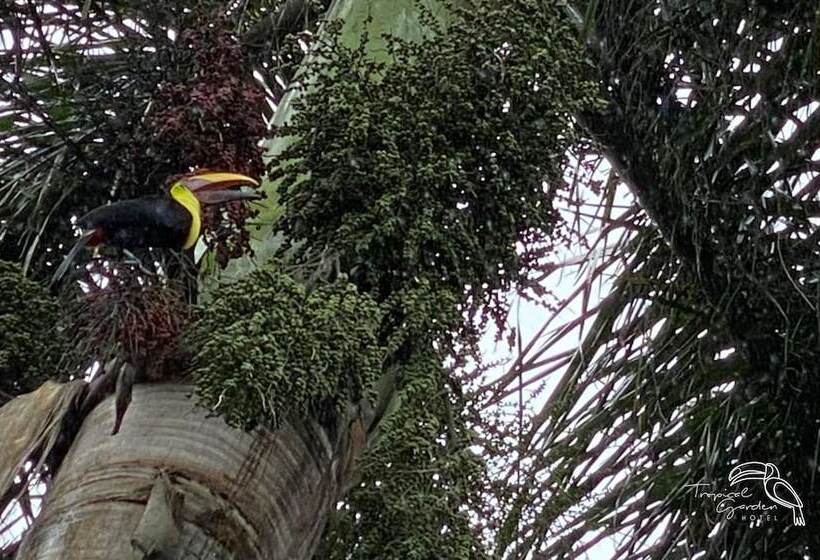 هتل Tropical Garden