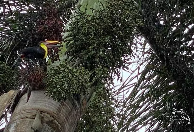 Hotelli Tropical Garden